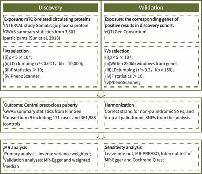 Causal association between mTOR-dependent circulating protein levels and central precocious puberty: a Mendelian randomization study